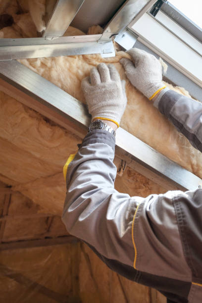 Best Insulation Contractors for Homes  in Aurora, IN