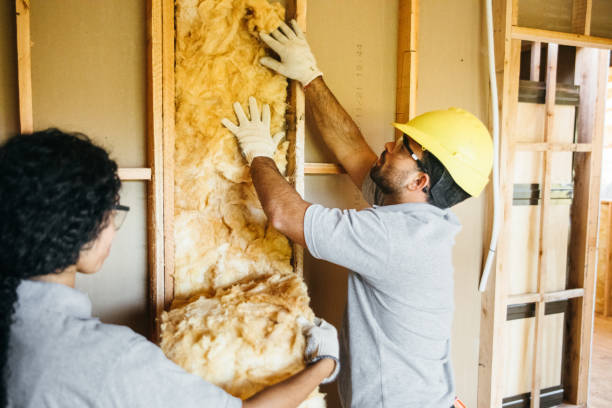 Best Energy-efficient Insulation  in Aurora, IN