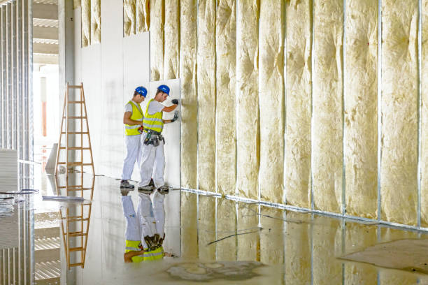 Best Insulation Removal Services  in Aurora, IN